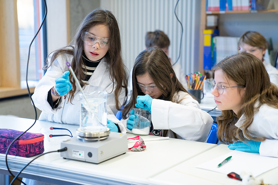 Schülerinnen und Schüler der Montessori Schule Herzogenaurach züchten während der MINT-Projektwoche „Kristalle“, eine Kooperation mit dem Fraunhofer IISB in Erlangen, eigene Alaun-Kristalle.
