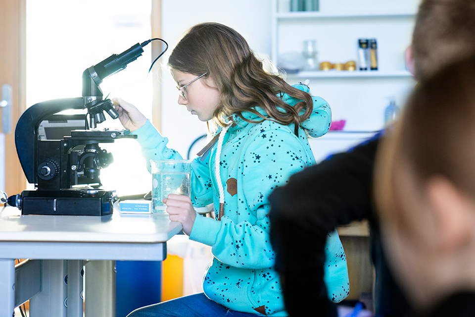 Zur MINT-Projektwoche „Kristalle“ an der Montessori Schule Herzogenaurach gehört auch die Beobachtung der spontanen Bildung von Mikrokristallen in einem Tropfen Alaun-Lösung unter dem Mikroskop.